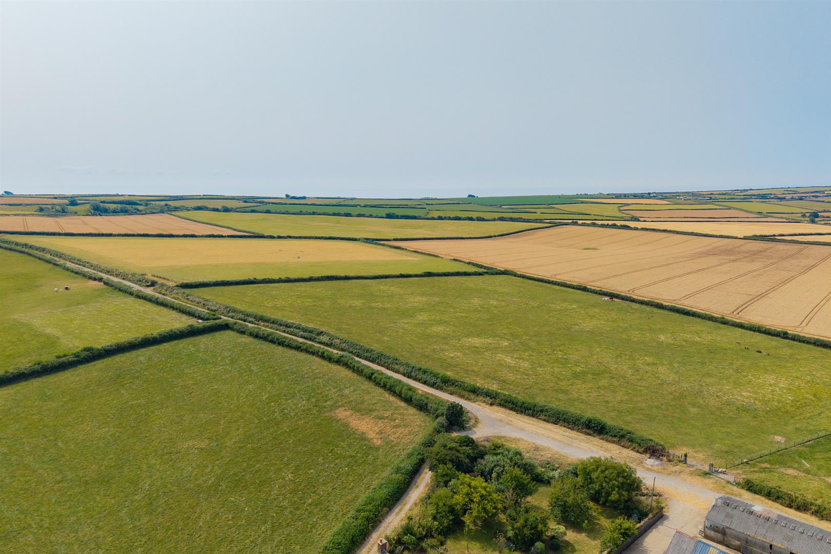 Berry, Reynoldston, Swansea, SA3 1BB